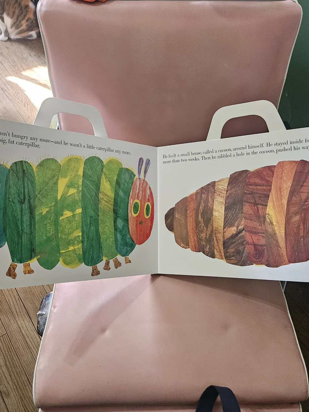 Very Hungry Caterpillar Giant Board Book - Picture 7 of 8